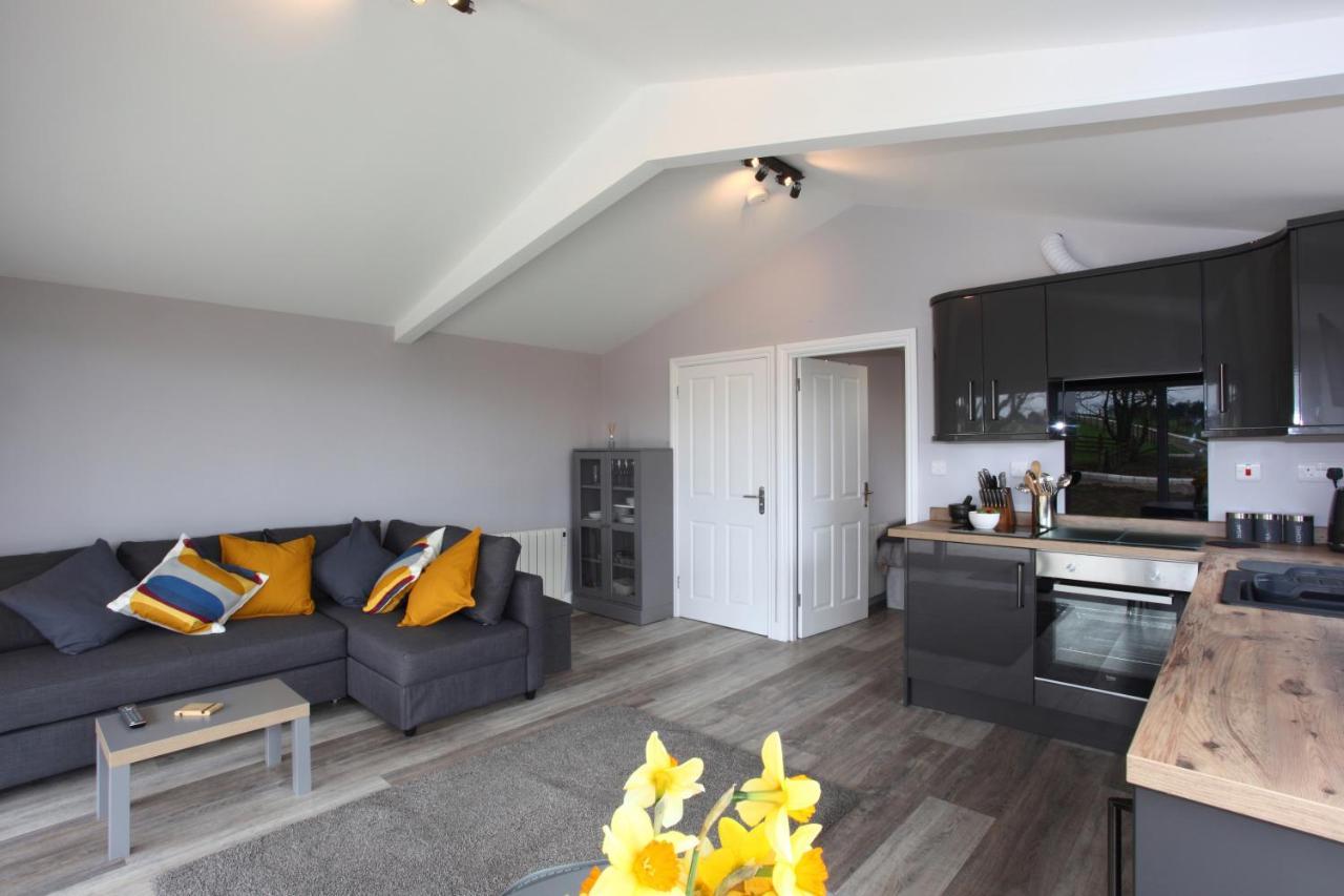 Deerfin Rentals Private Chalet With Hot Tub Ballymena Zewnętrze zdjęcie